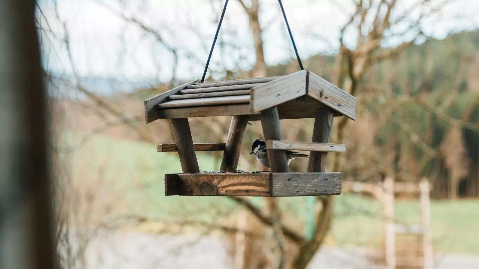 Im Bayerischen Wald-Sfeer