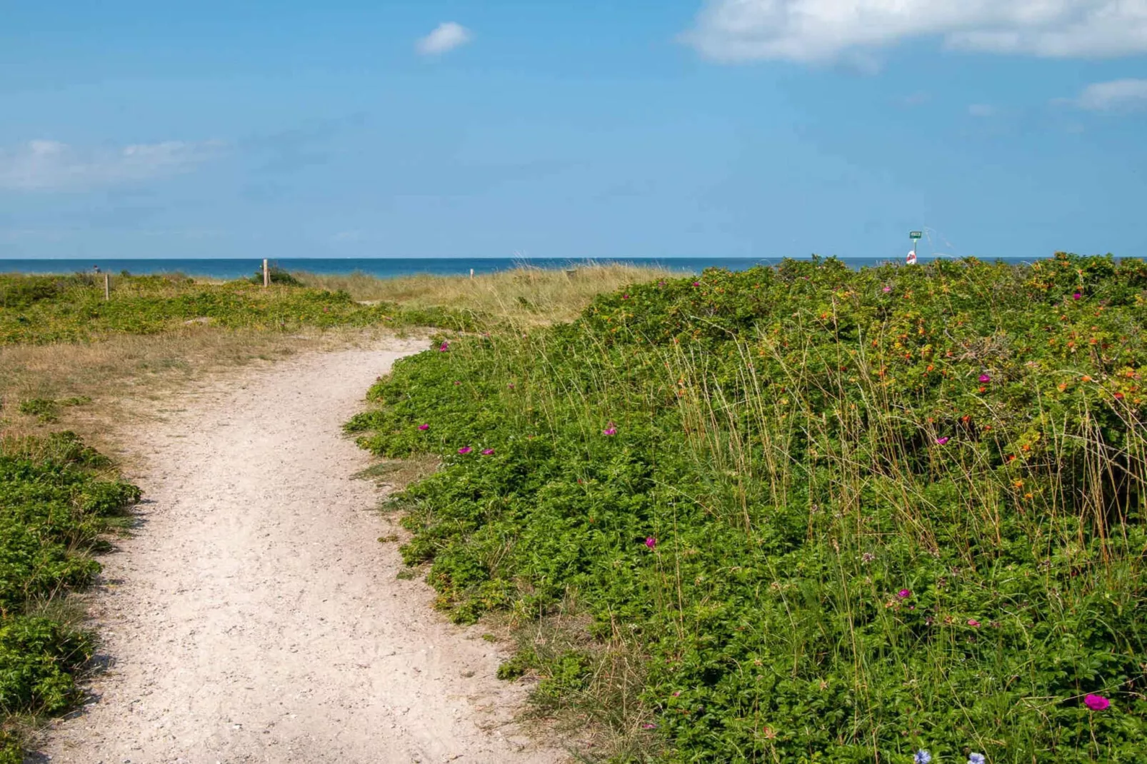 5 sterren vakantie huis in Store Fuglede-Uitzicht