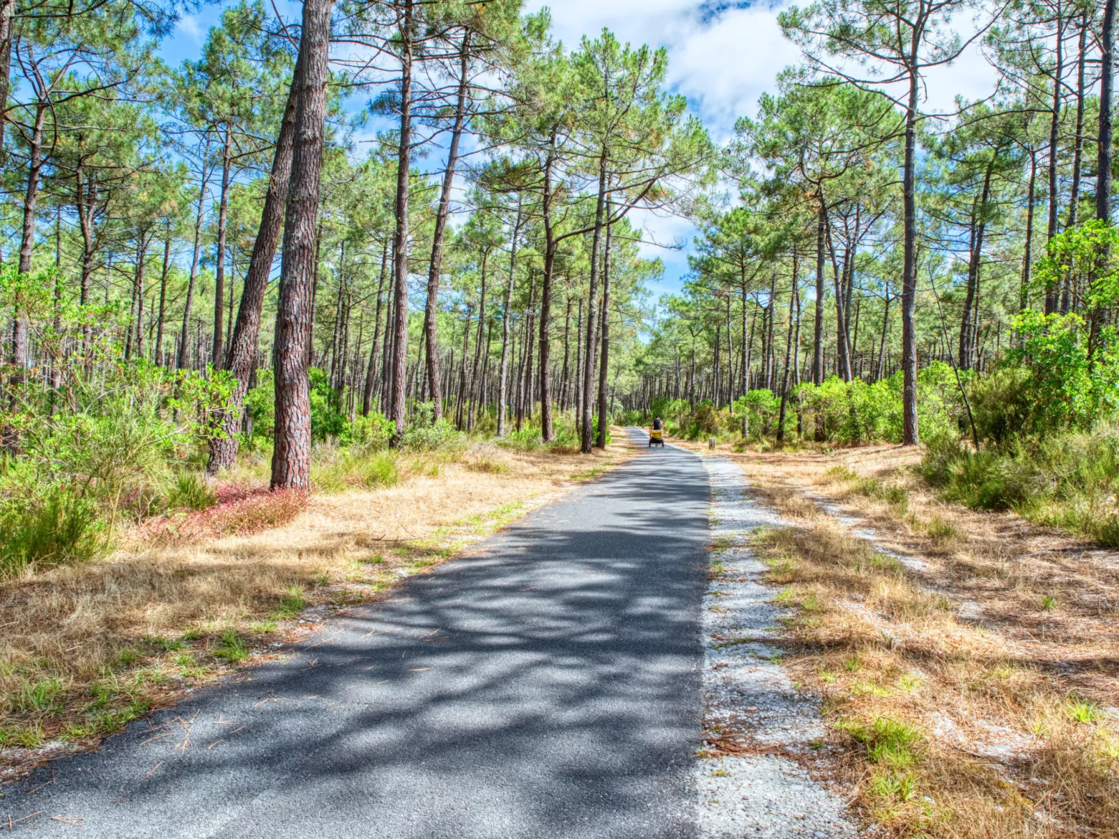 Marina de Talaris-Omgeving