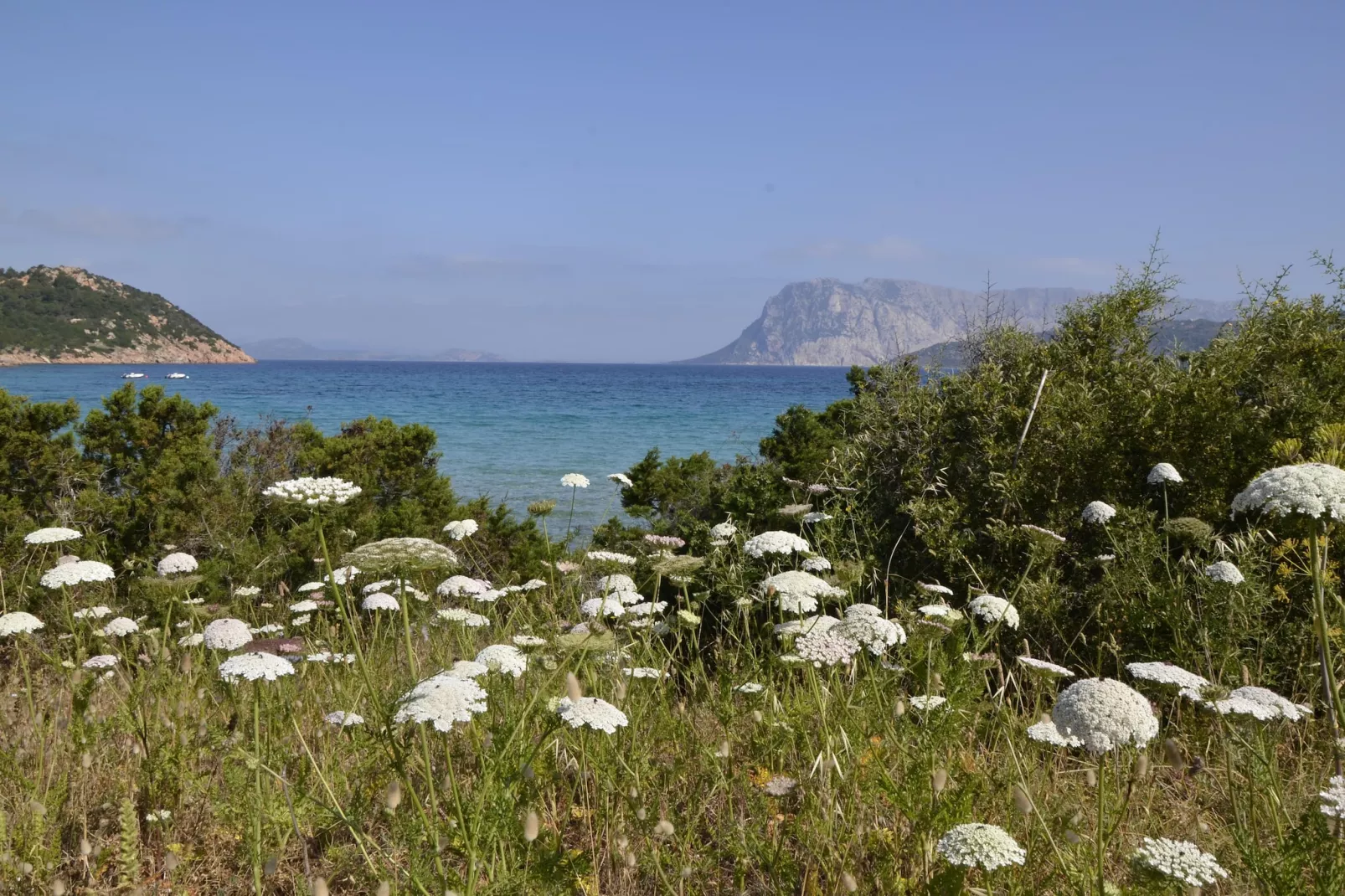 Le Villette di San Gavino PT1-Gebieden zomer 20km