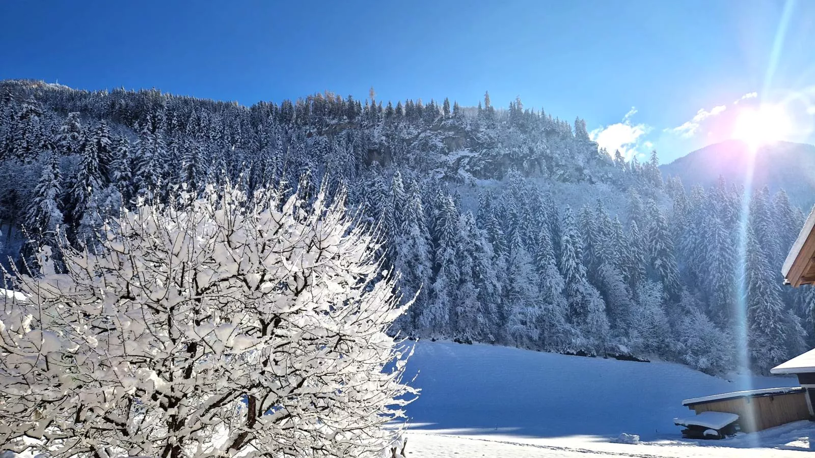 Schiestl-Uitzicht winter