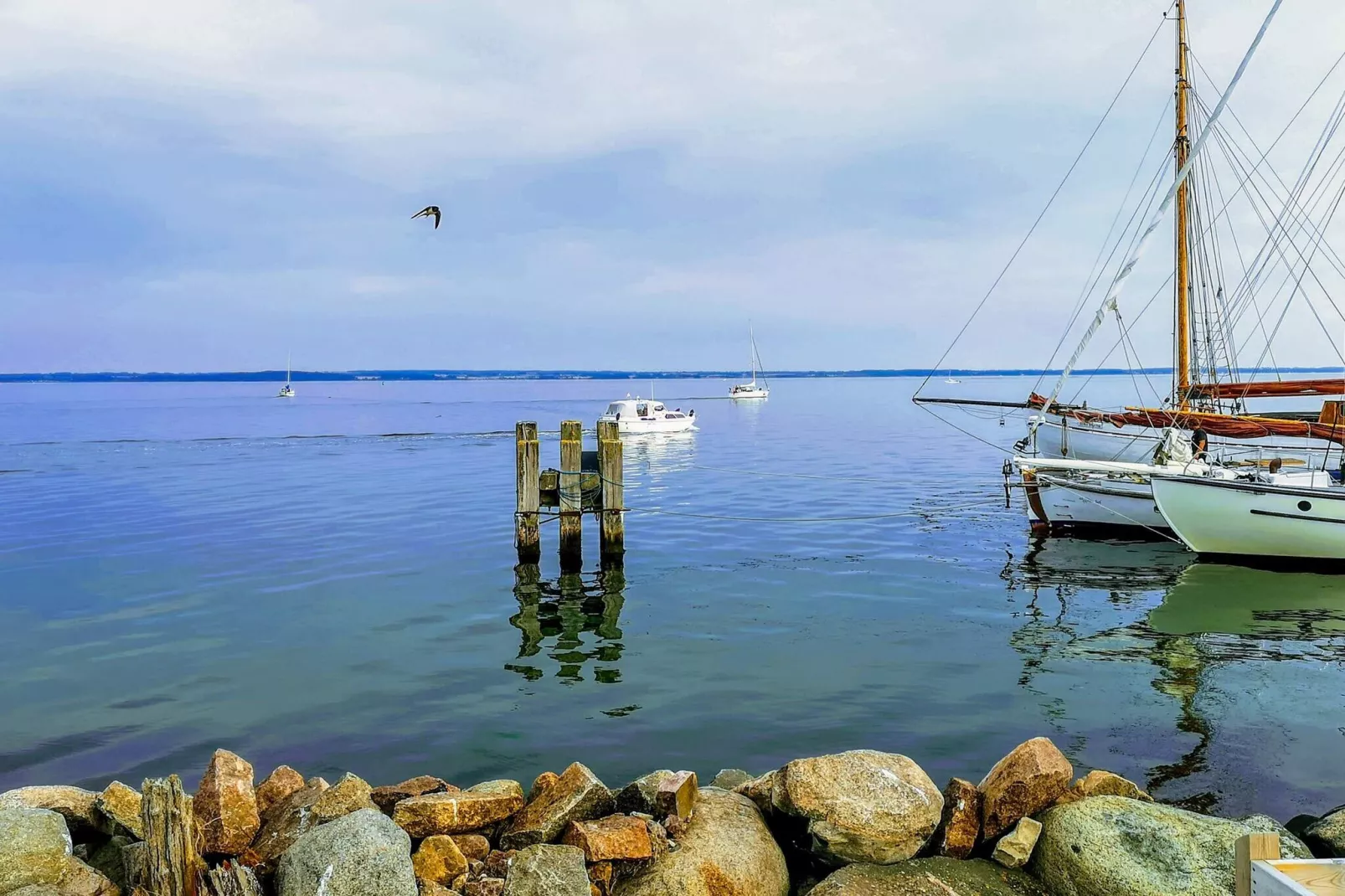 4 persoons vakantie huis in Tranekær-Waterzicht