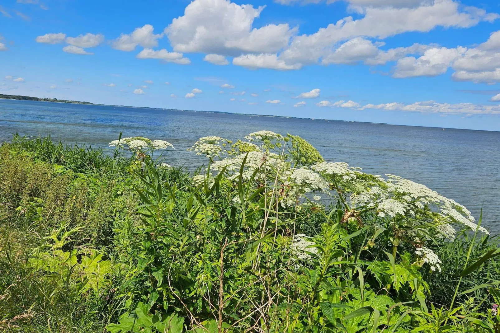 4 persoons vakantie huis in Nykøbing M-By Traum-Zwembad