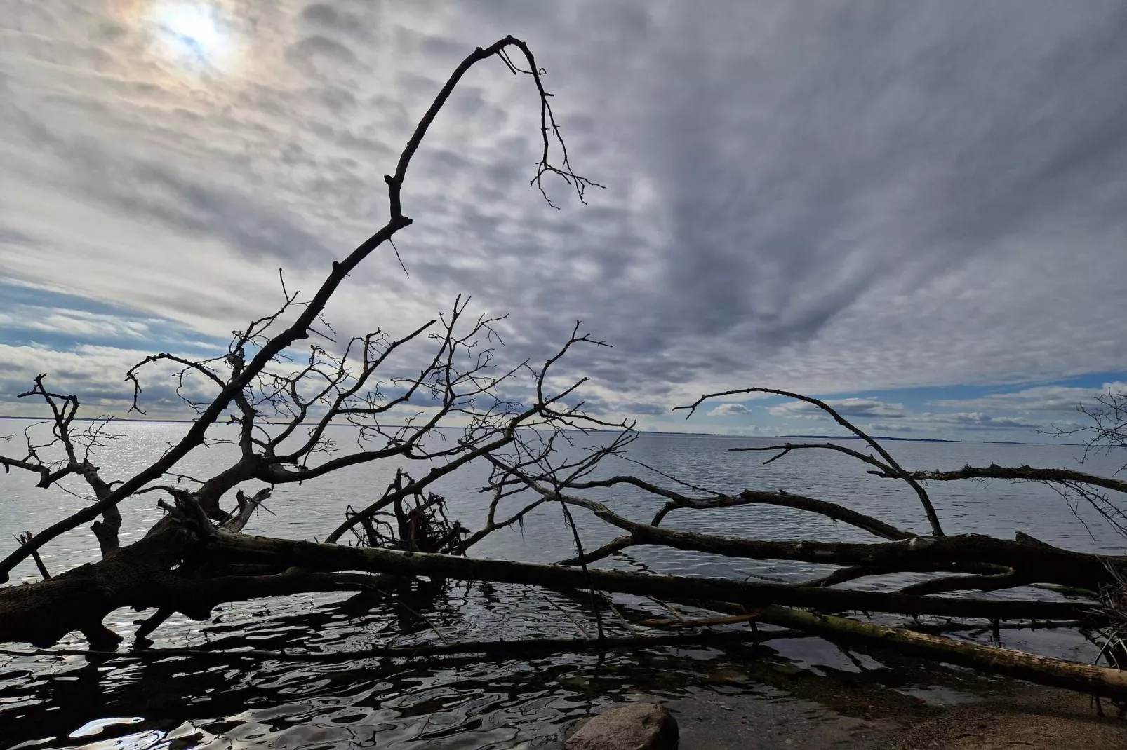 6 persoons vakantie huis in Juelsminde-By Traum-Waterzicht