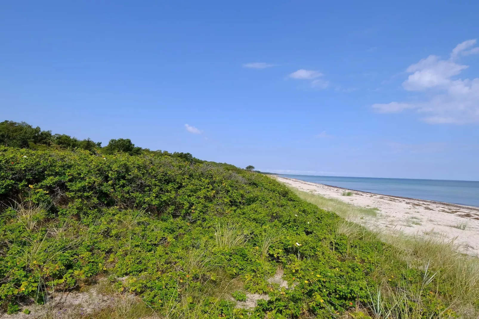 6 persoons vakantie huis in Gedser-By Traum-Waterzicht