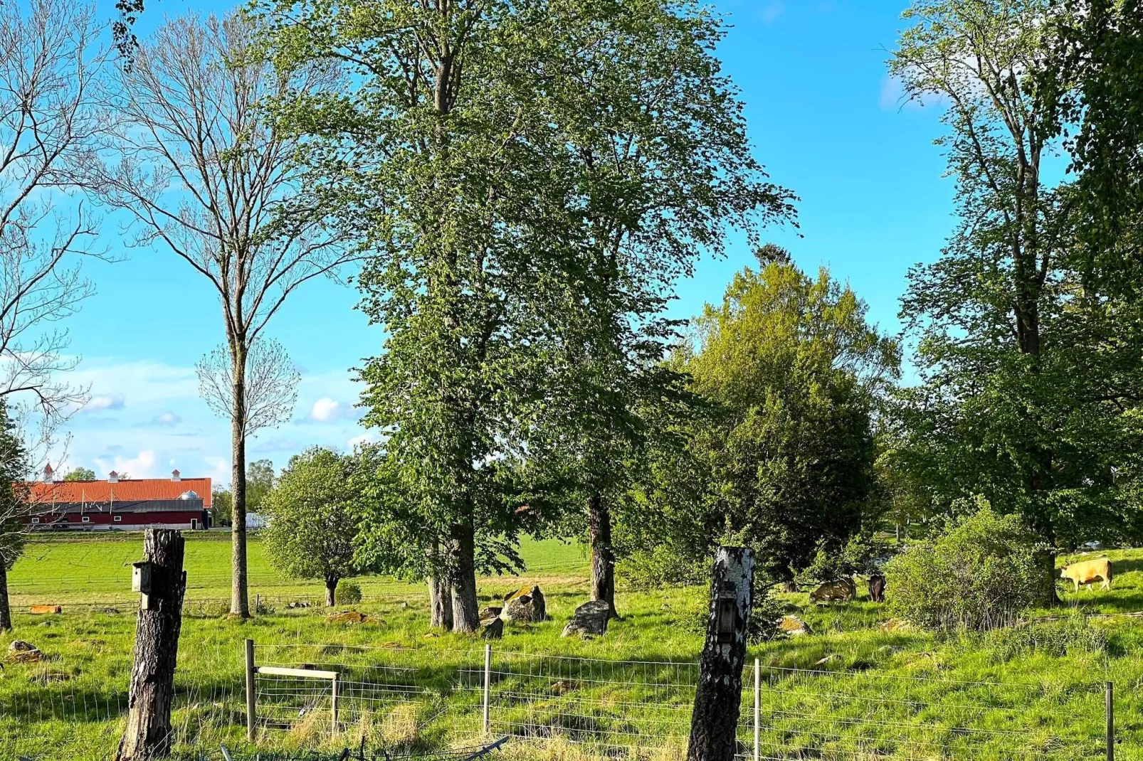7 persoons vakantie huis in HOVA-By Traum-Niet-getagd