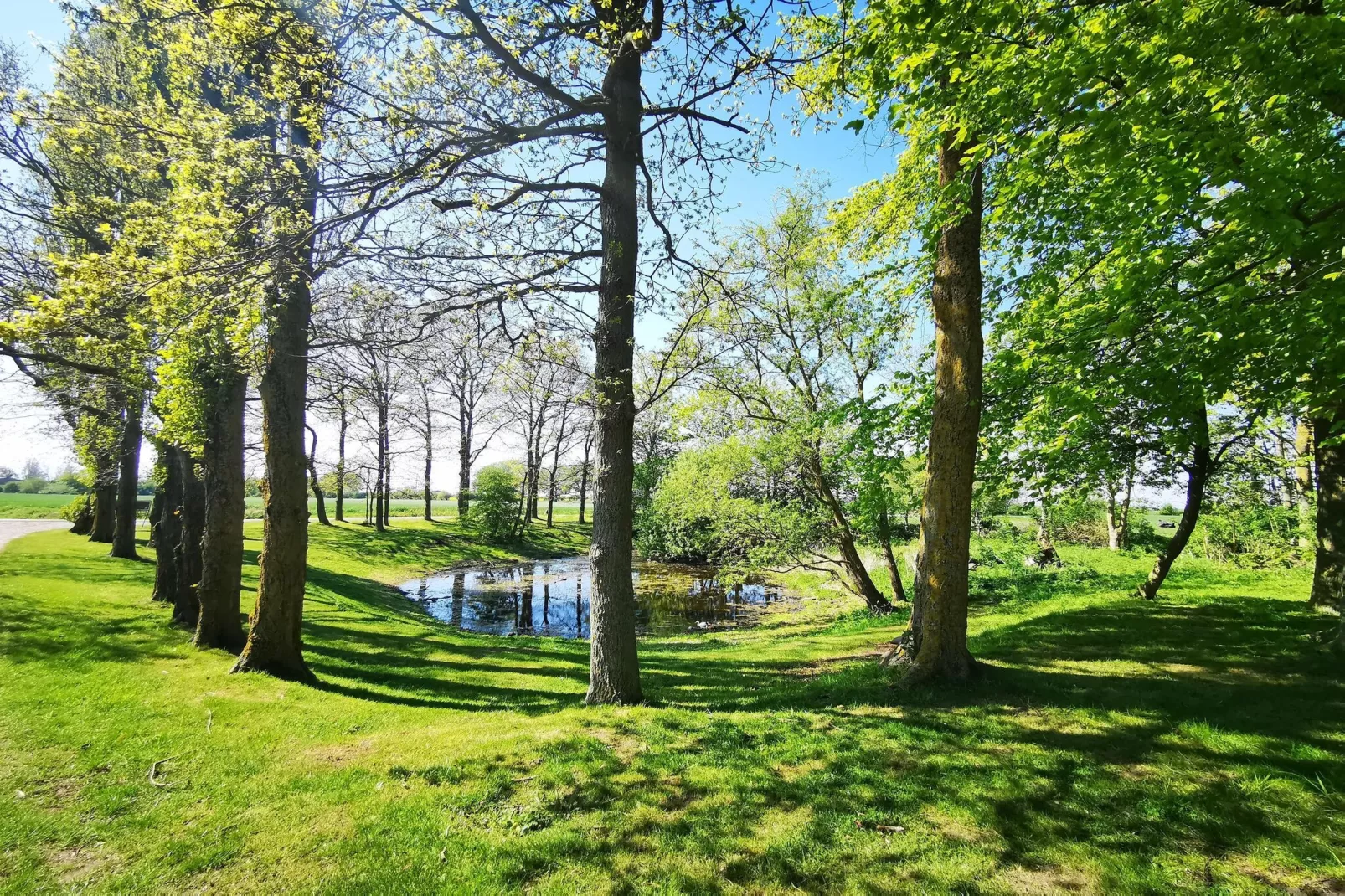 Inselresort Columbus-Gebieden zomer 5km