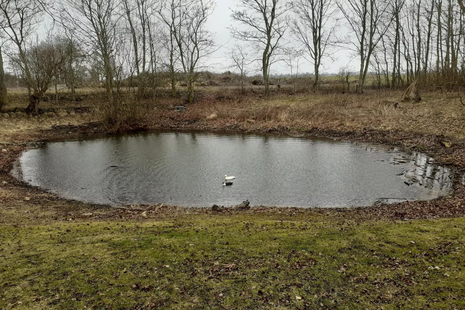 Inselresort Thor Heyerdahl-Gebieden zomer 5km