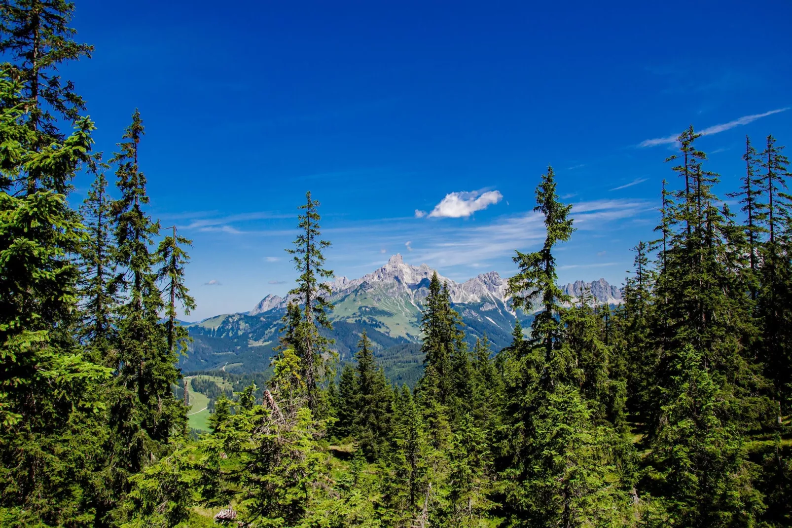 Filzmoos Appartements-Gebieden zomer 1km