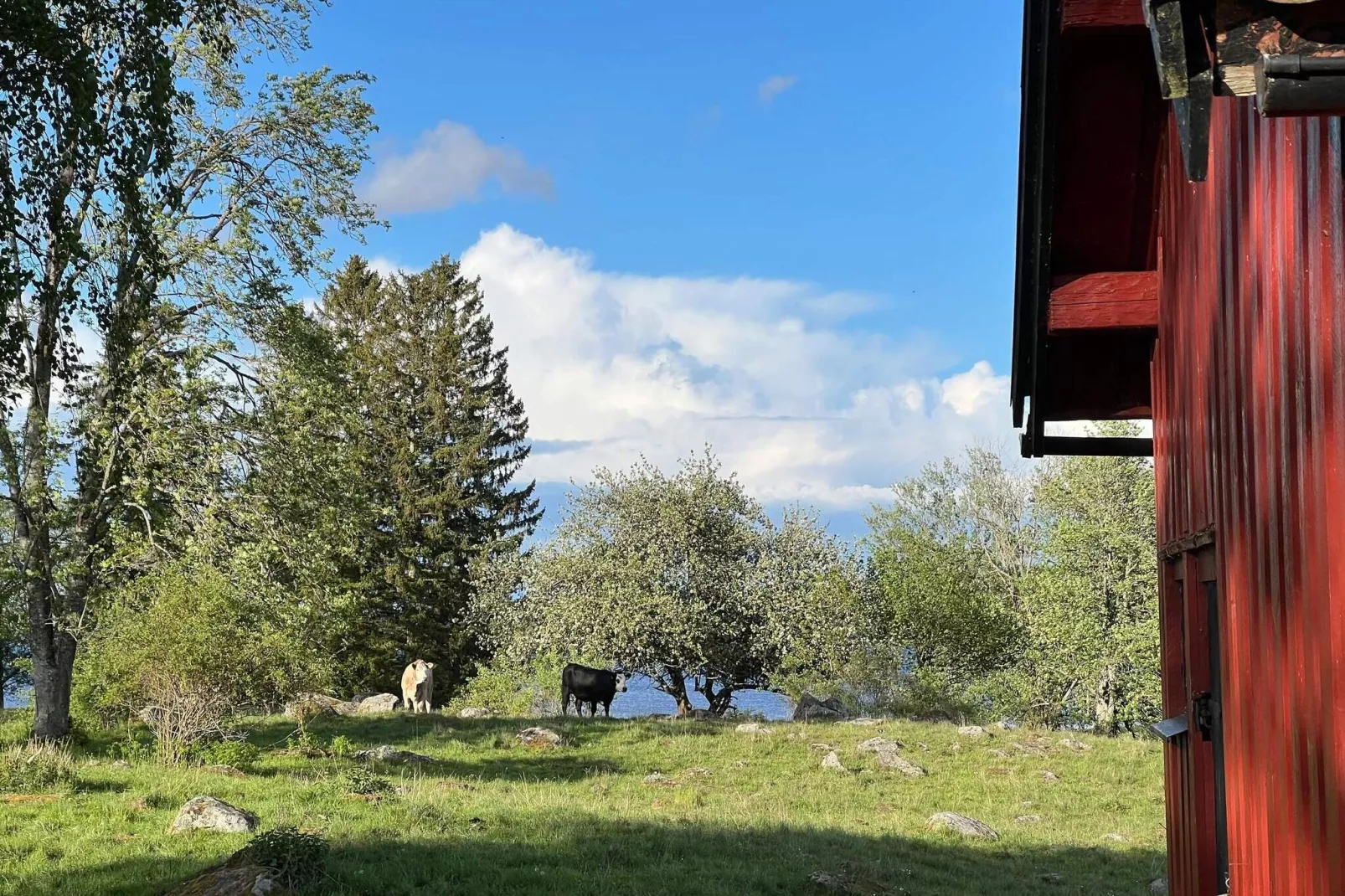 7 persoons vakantie huis in HOVA-By Traum-Niet-getagd