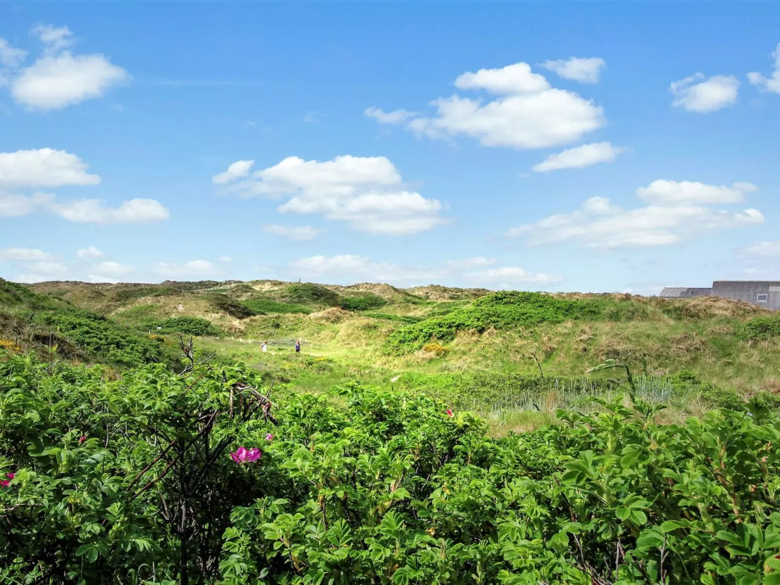 "Karla" - 100m from the sea-Buiten