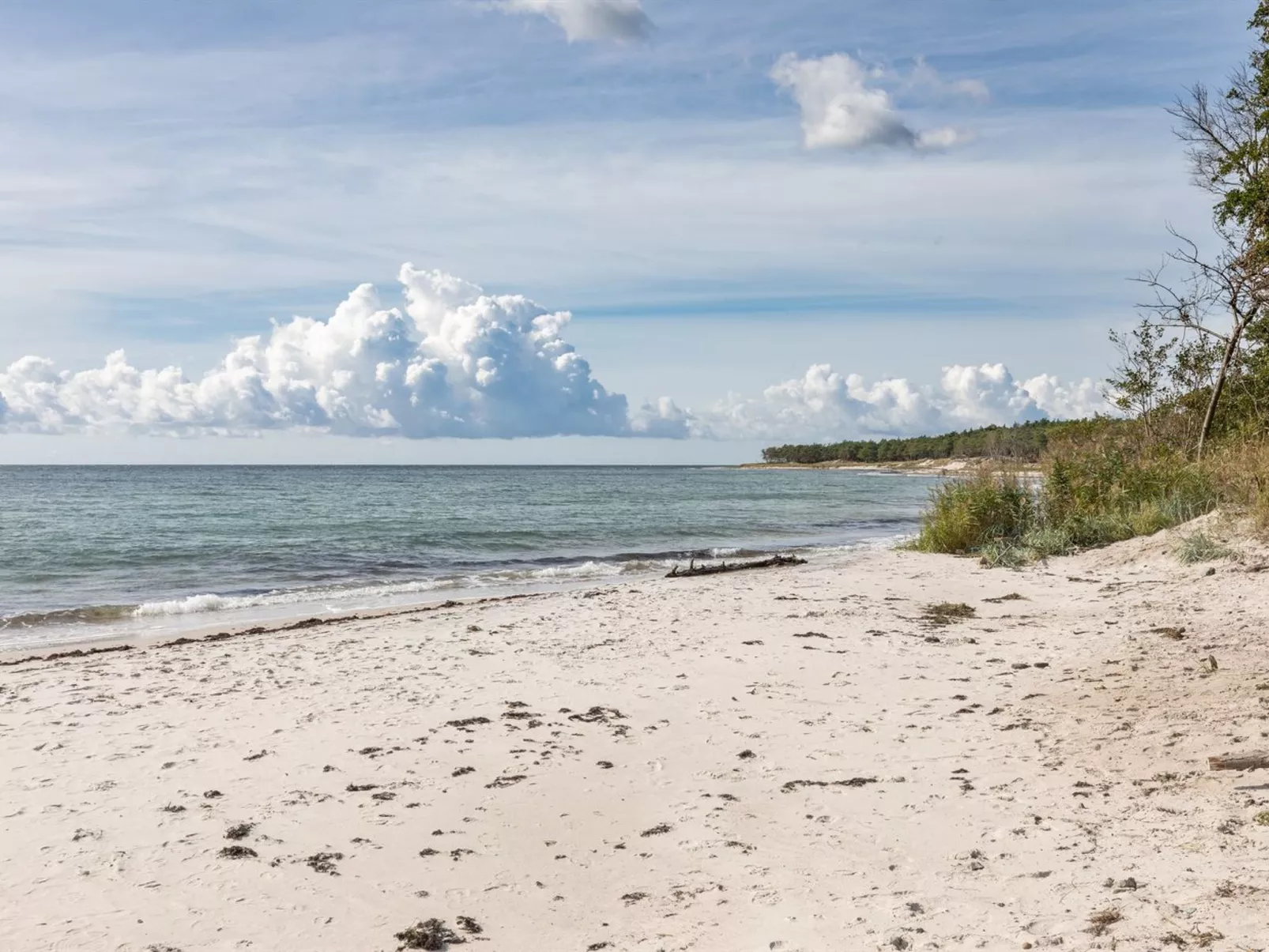 "Annetta" - 250m from the sea-Buiten