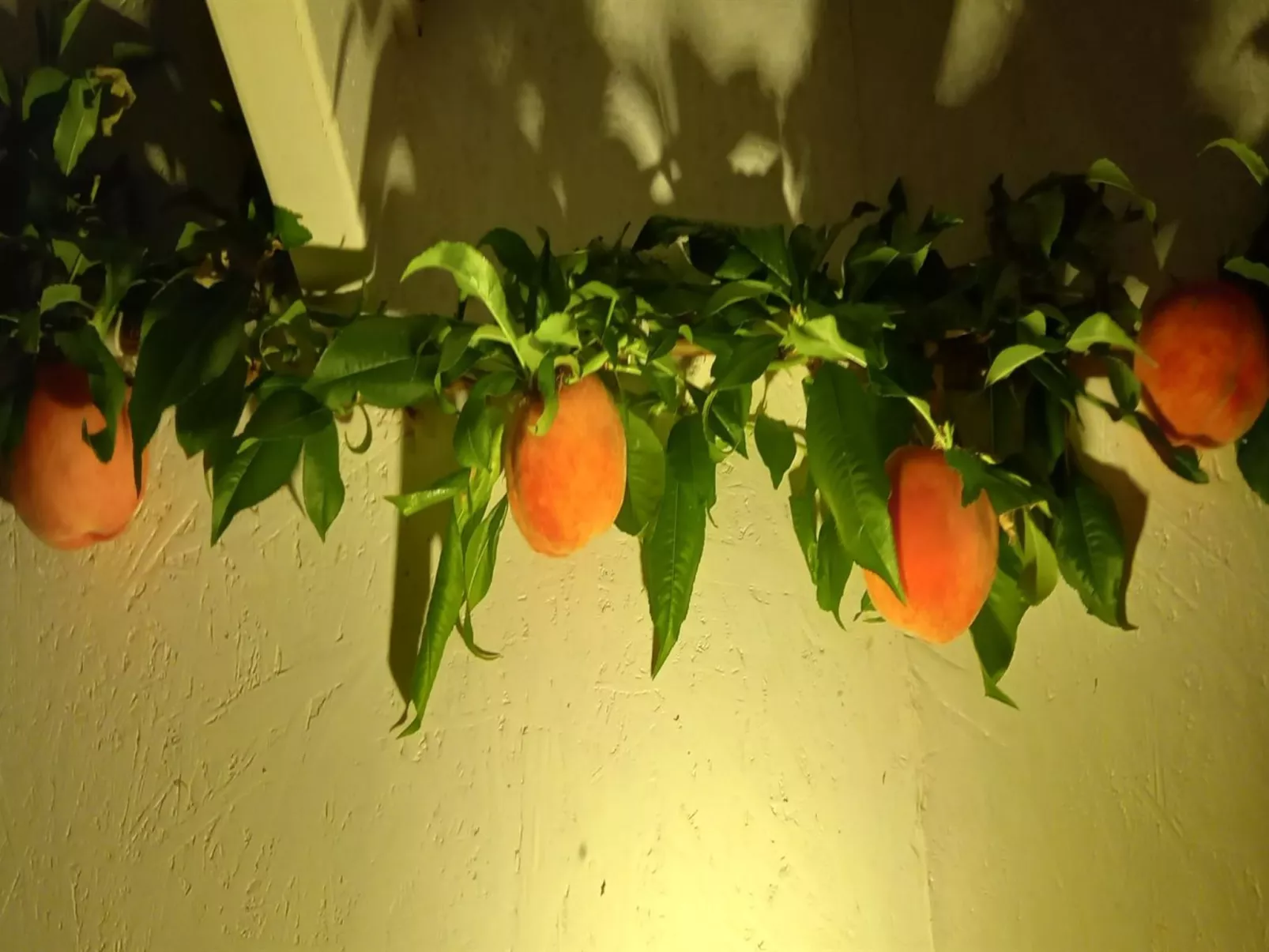 "Hartvig" - 800m from the sea-Binnen