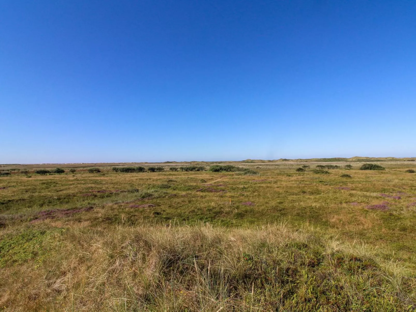 "Alim" - 300m from the sea-Buiten