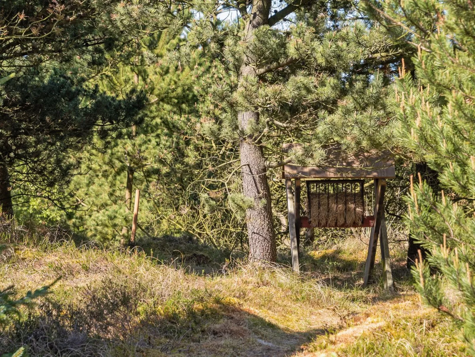 "Bogatin" - 1km from the sea-Buiten