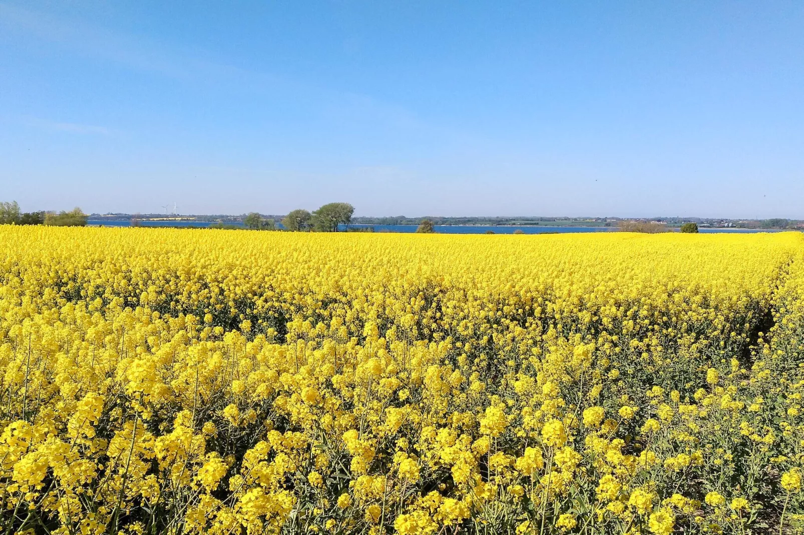 Kust retraite in Kegnaes -- By Traum Ferienwohnungen-Niet-getagd