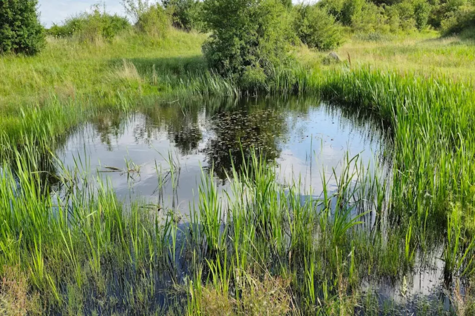 5 persoons vakantie huis in Hesselager-By Traum-Waterzicht