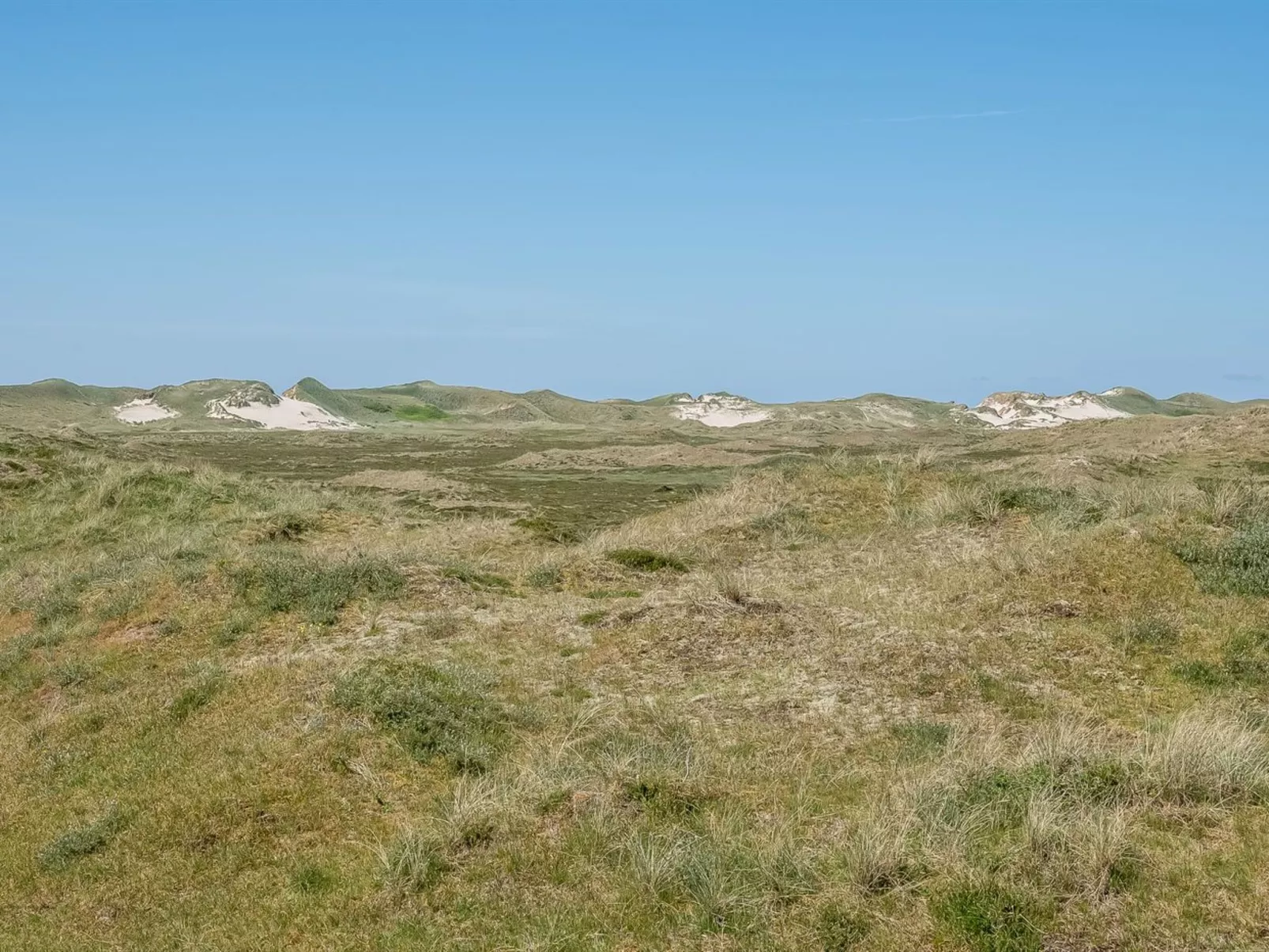 "Aurore" - 700m from the sea-Buiten