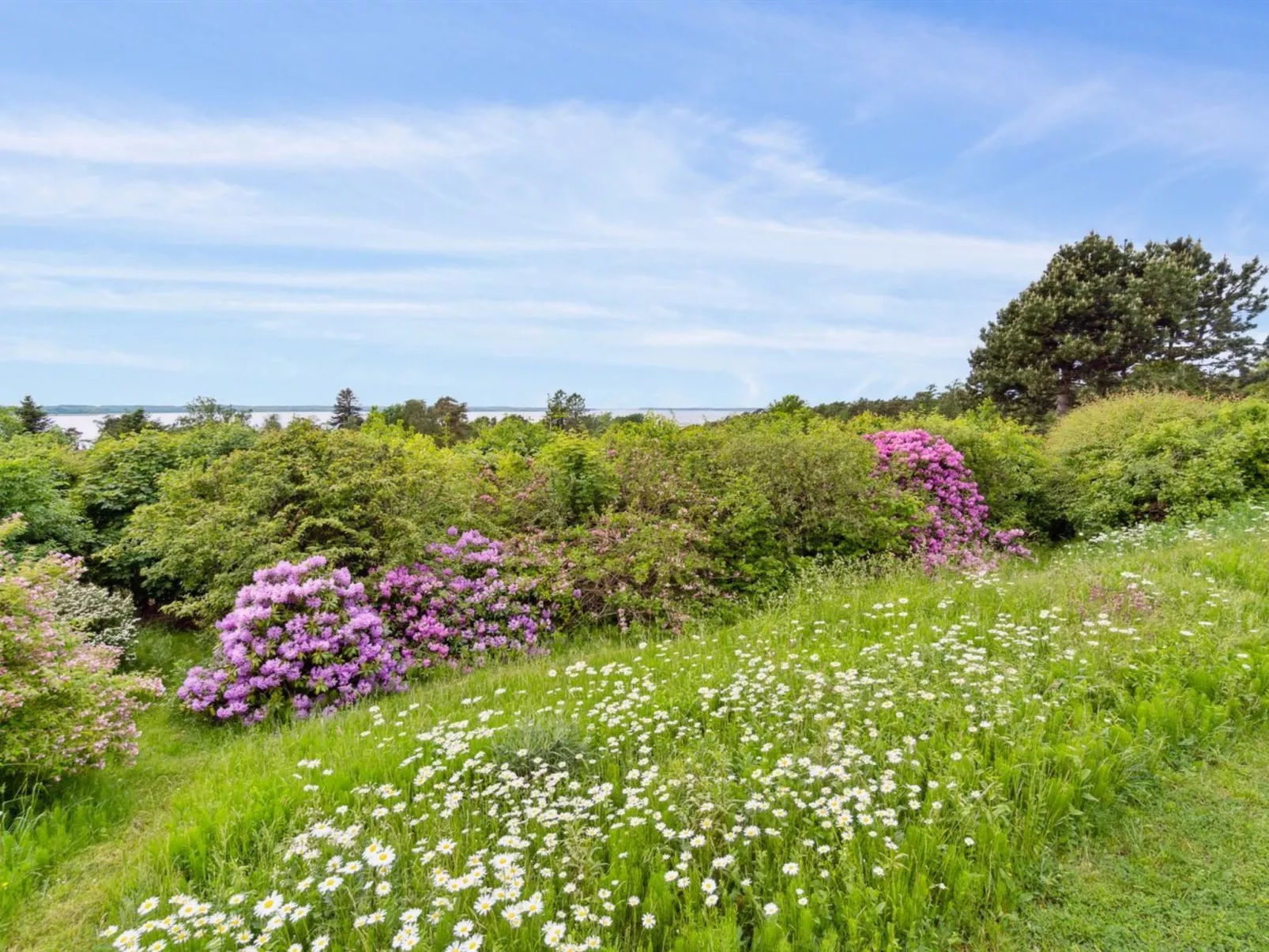 "Skamhals" - 440m to the fjord-Buiten