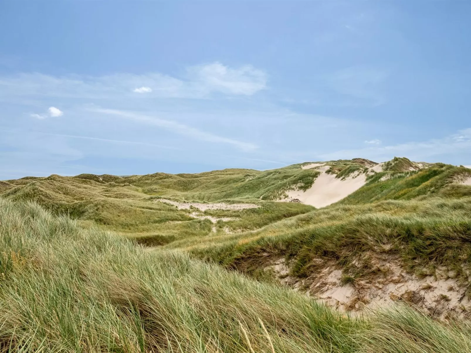 "Felicita" -  from the sea-Buiten