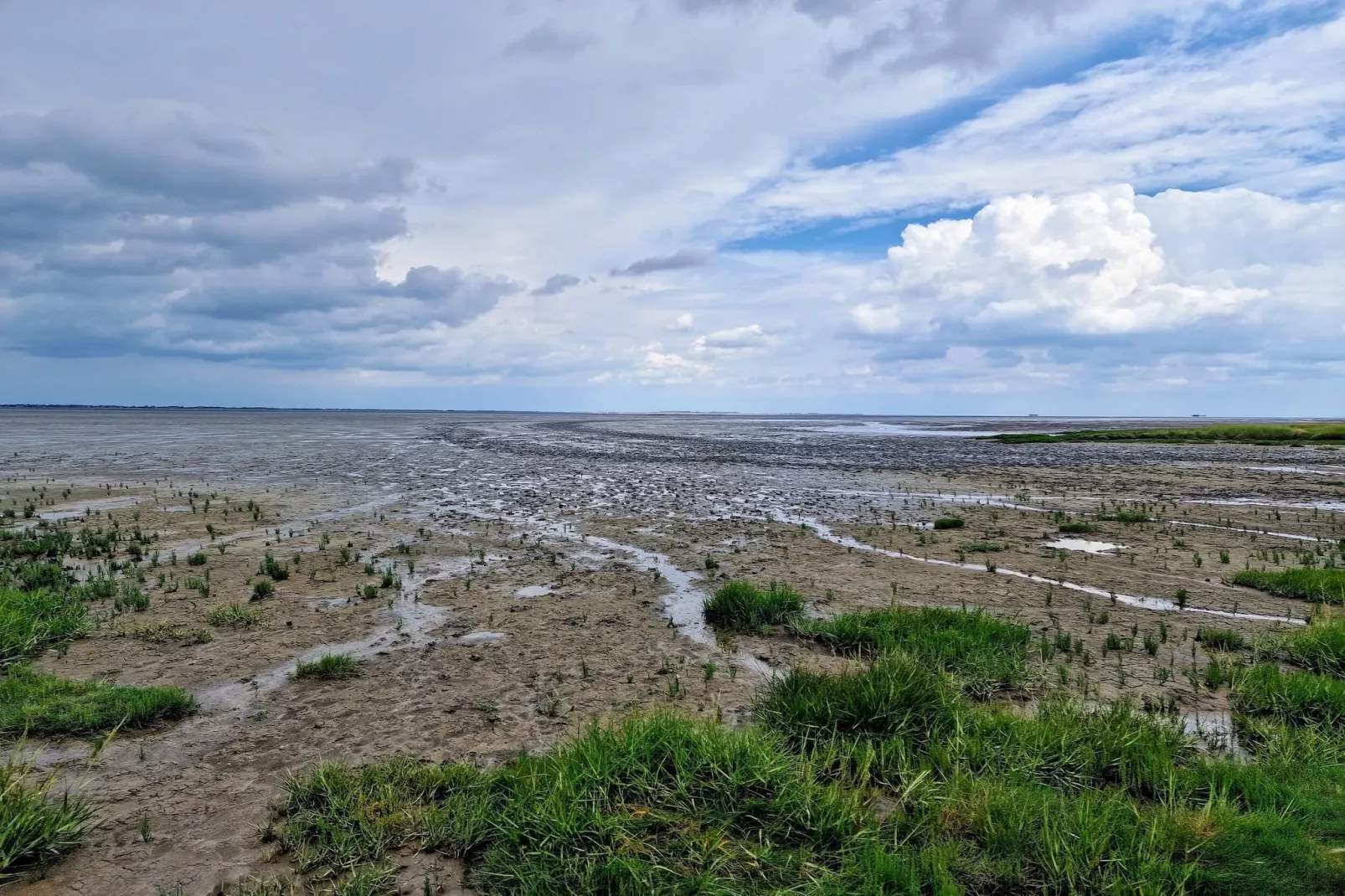 Doppelhaushälfte Nordseerose 125-Gebieden zomer 5km