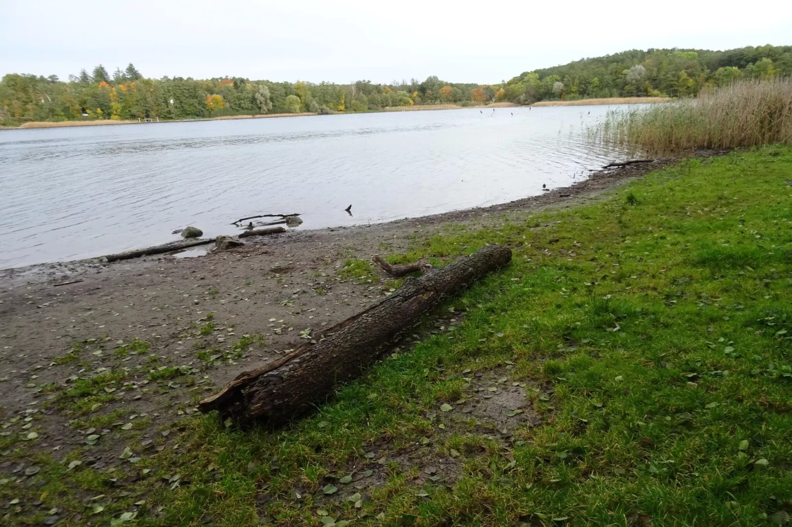 Luxus-Familienappartement / 6 Personen-Gebieden zomer 5km