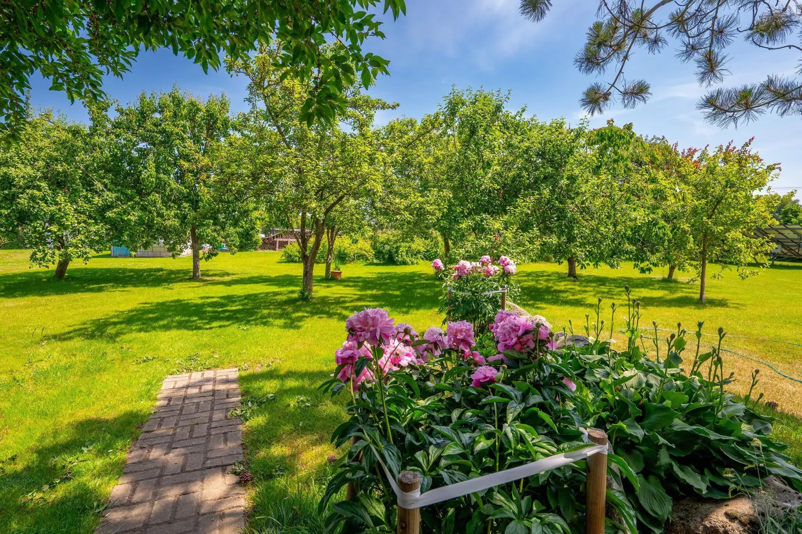 Domki wakacyjne na min 2-4 doby Domasławice-Tuinen zomer