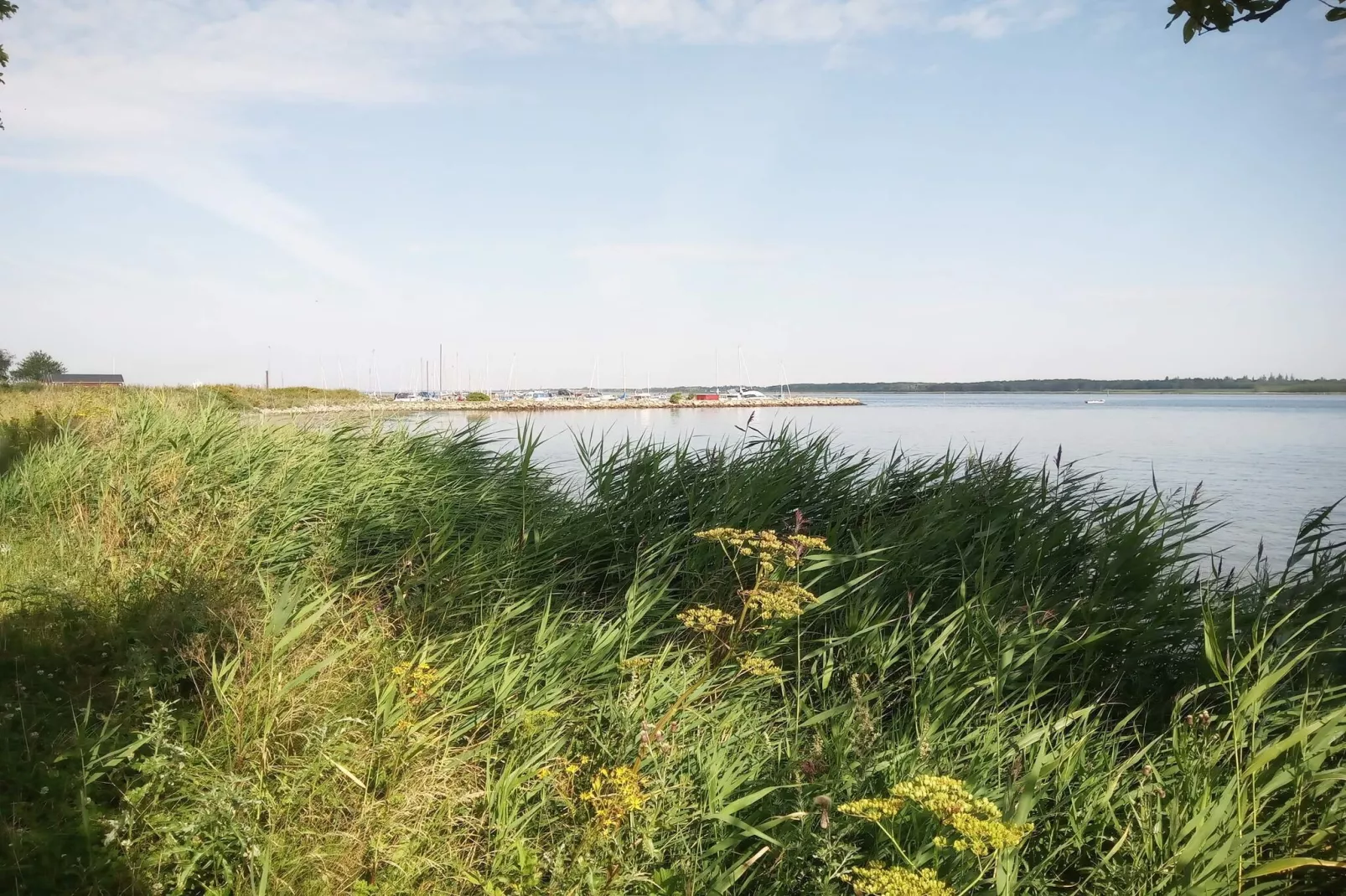 6 Personen vakantie huis in Storvorde-Waterzicht