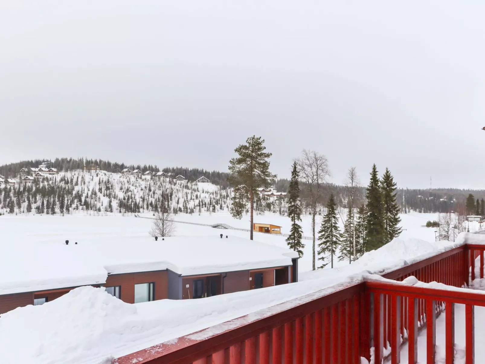 Skivillas 47 ukkohalla (a3)-Binnen