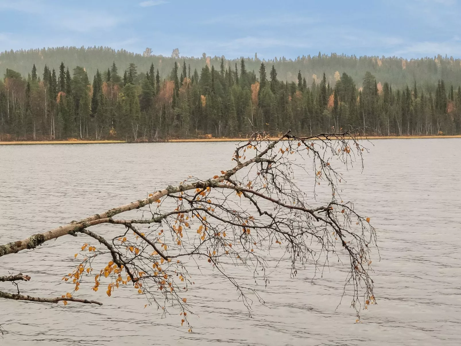 Lomaväinö 13-Binnen