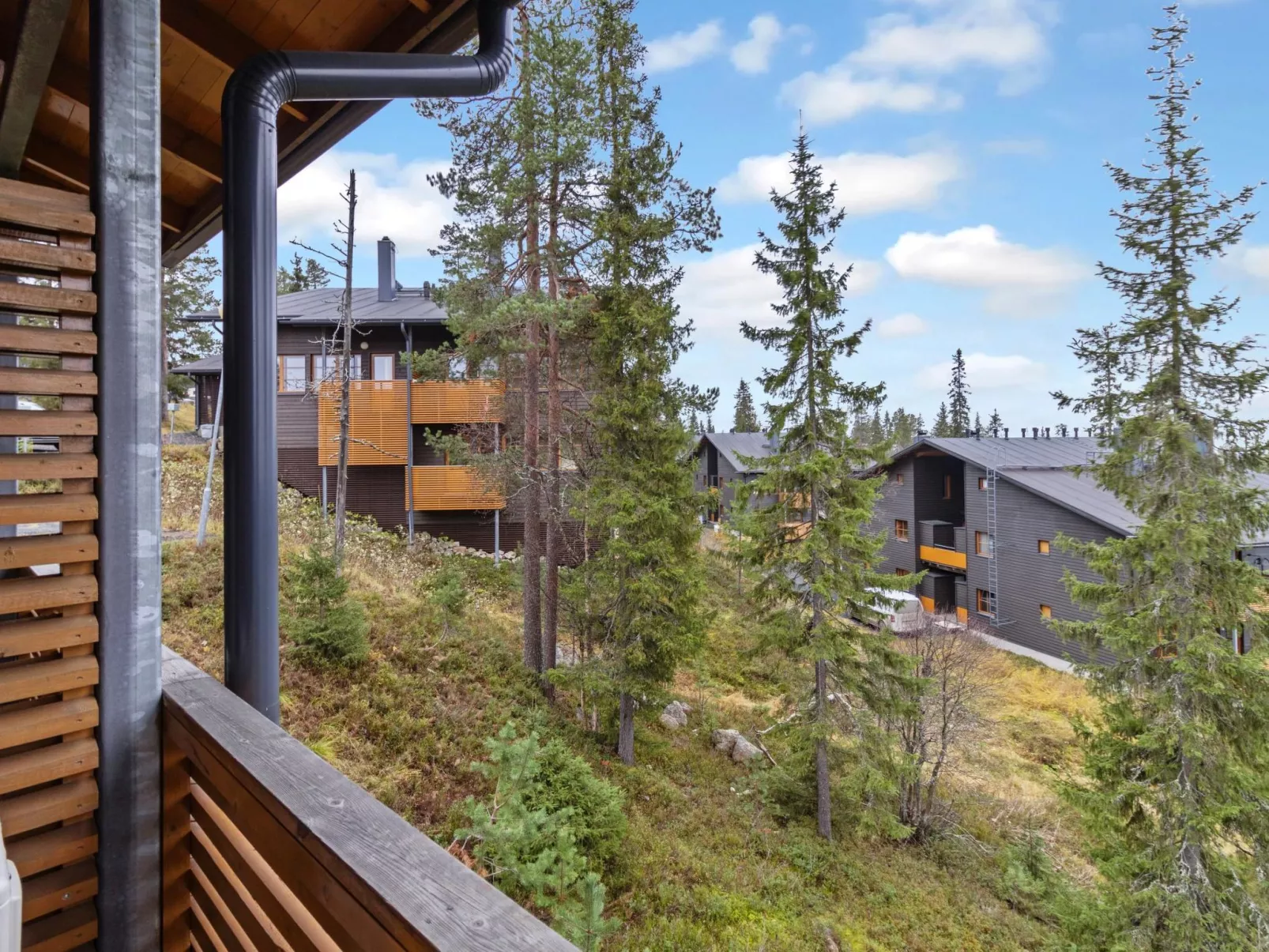 Karhunvartijanmaja d4-Binnen