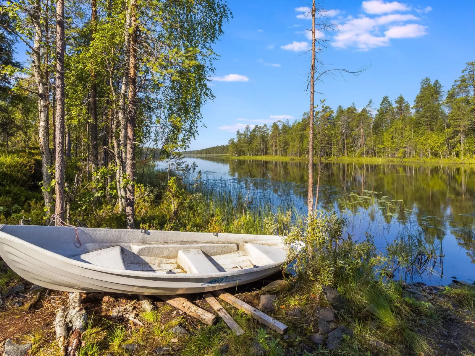 Kiehtäjän kuohu-Binnen