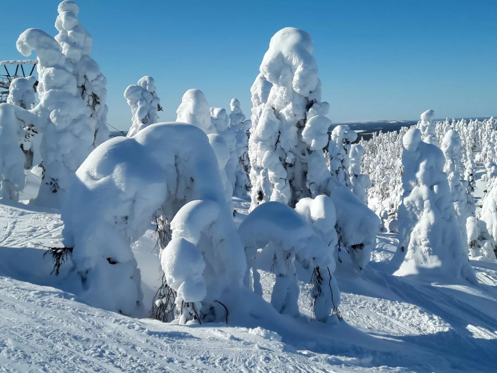 Lomakivakka b6-Binnen