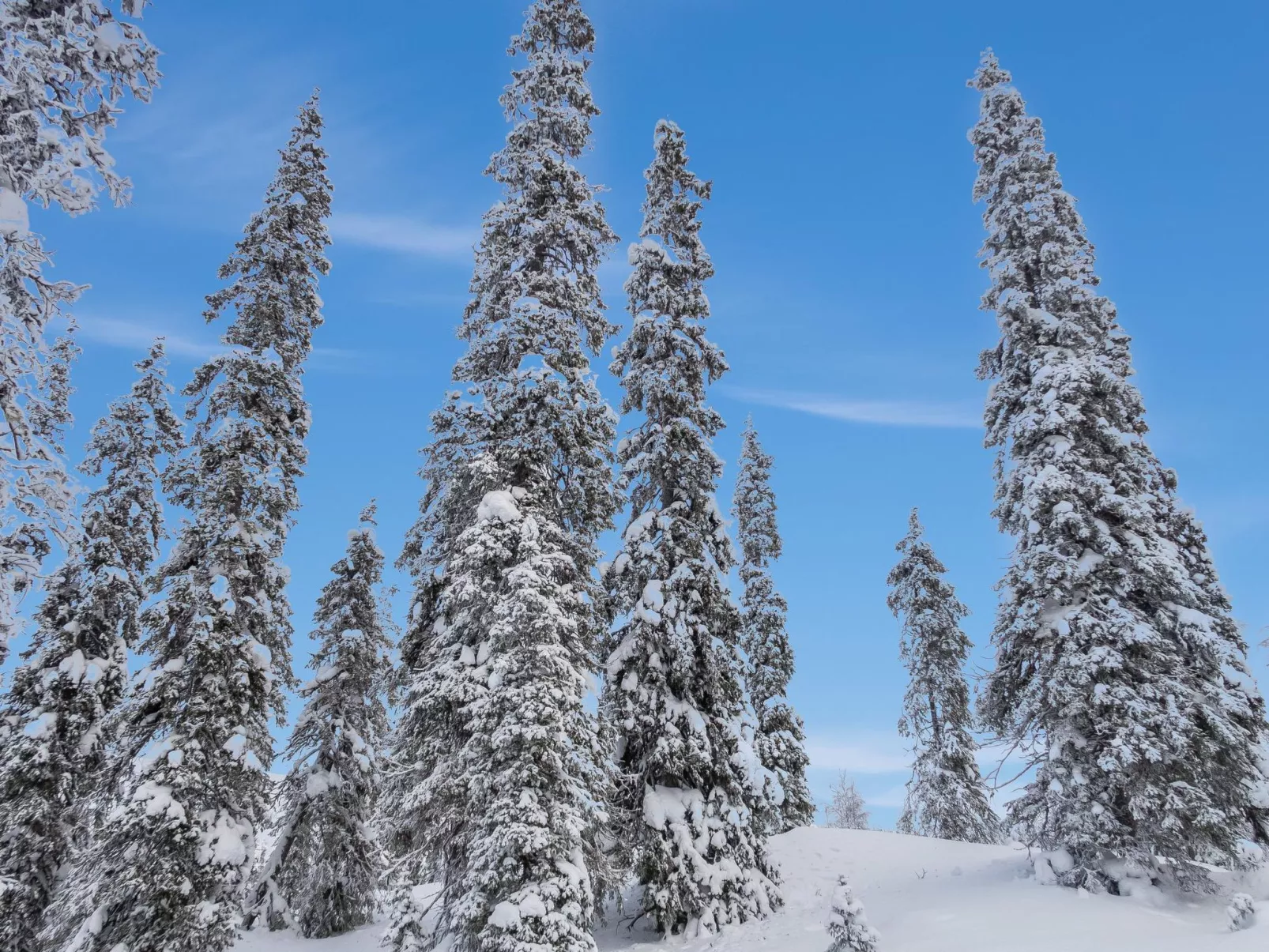 Villa jaloranta b-Binnen