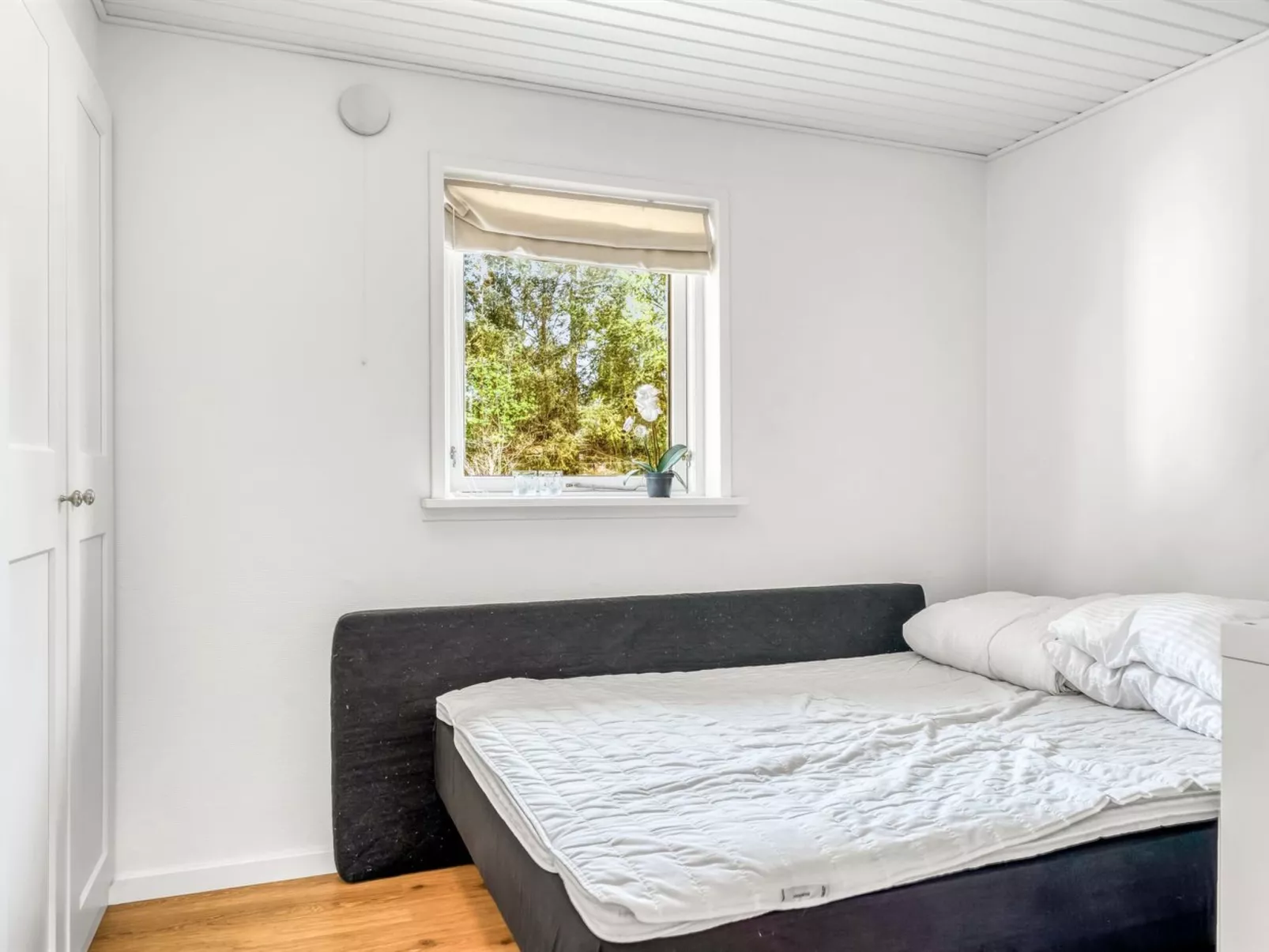 "Toralf" -  from the sea-Binnen