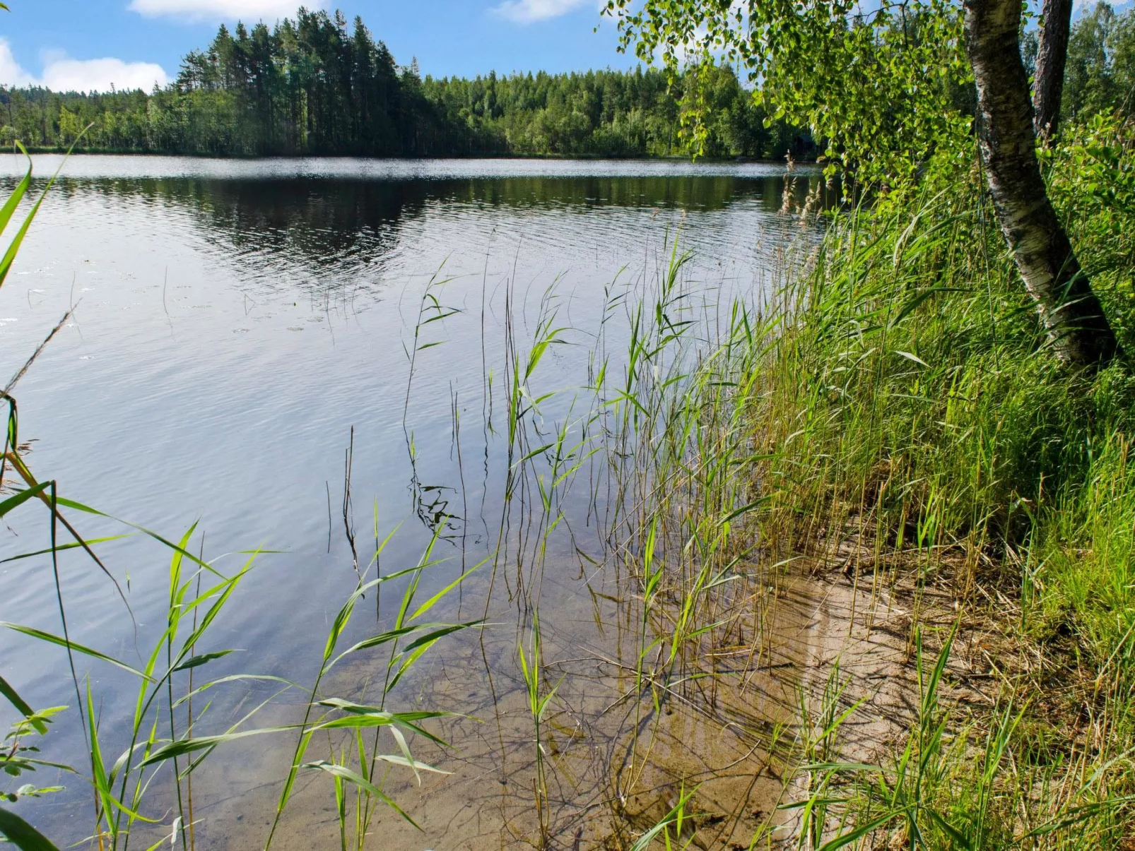Blue lake villa-Binnen