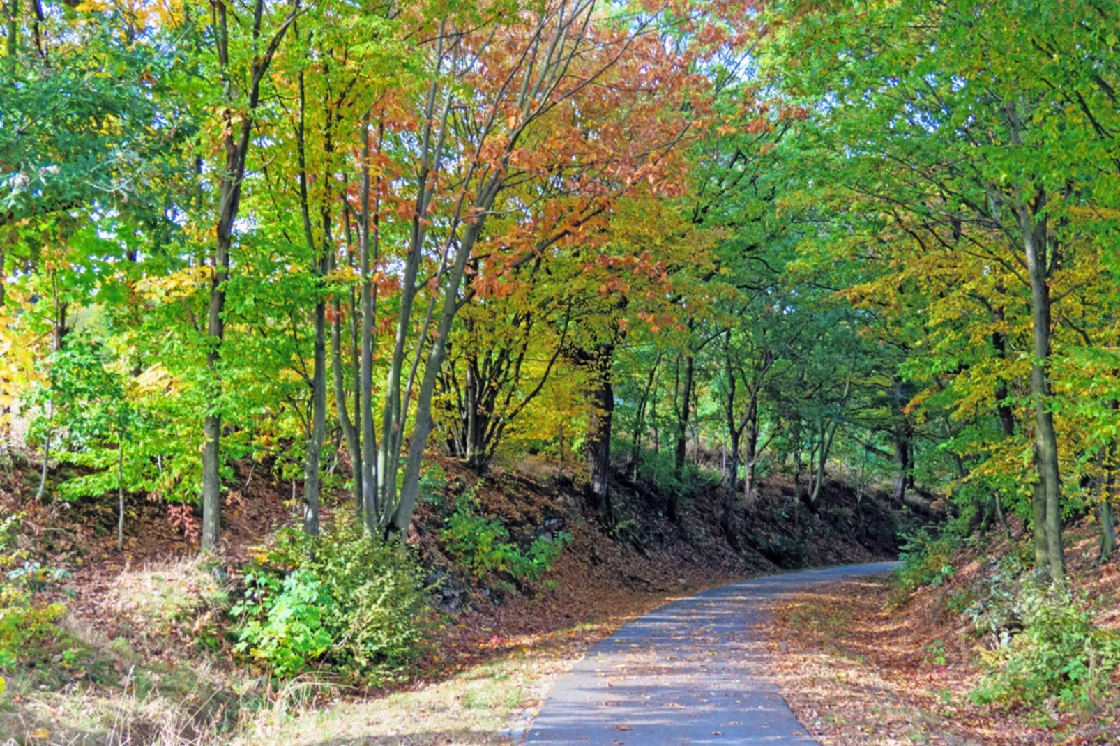 Ferienwohnung Freital - Dresden-Gebieden zomer 5km