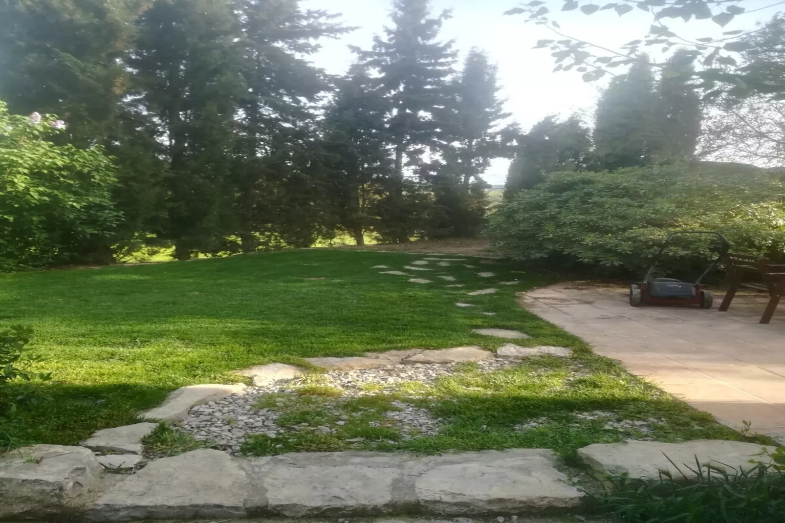 Cal Xelin-Gebieden zomer 1km