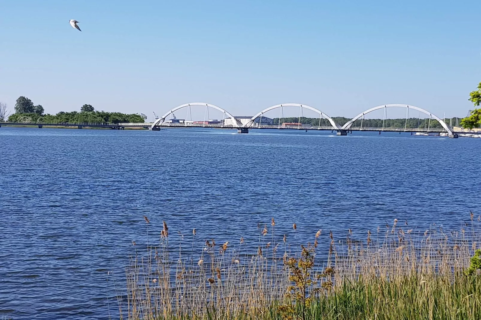 4 persoons vakantie huis in SÖLVESBORG-Waterzicht