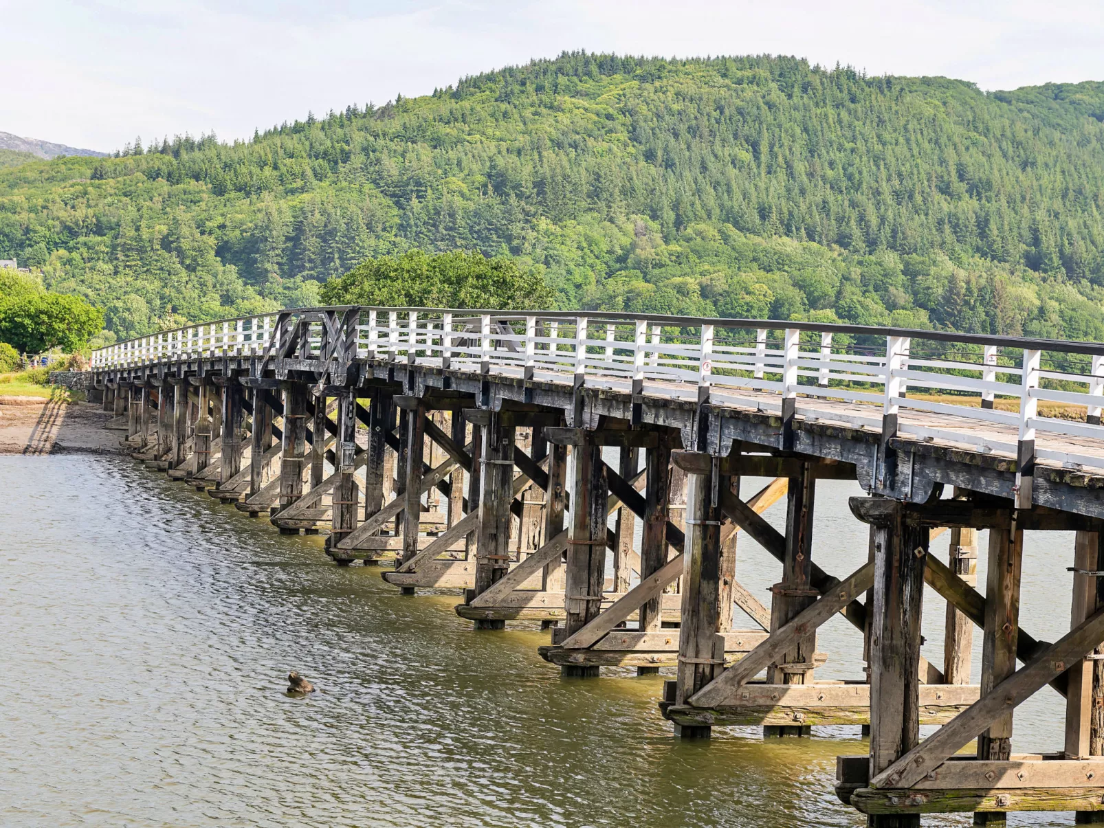 Toll Bridge Cottage-Buiten