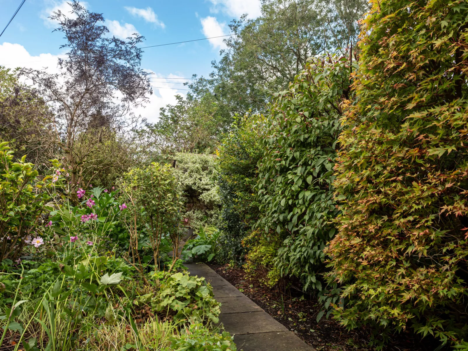 Garden Cottage-Buiten