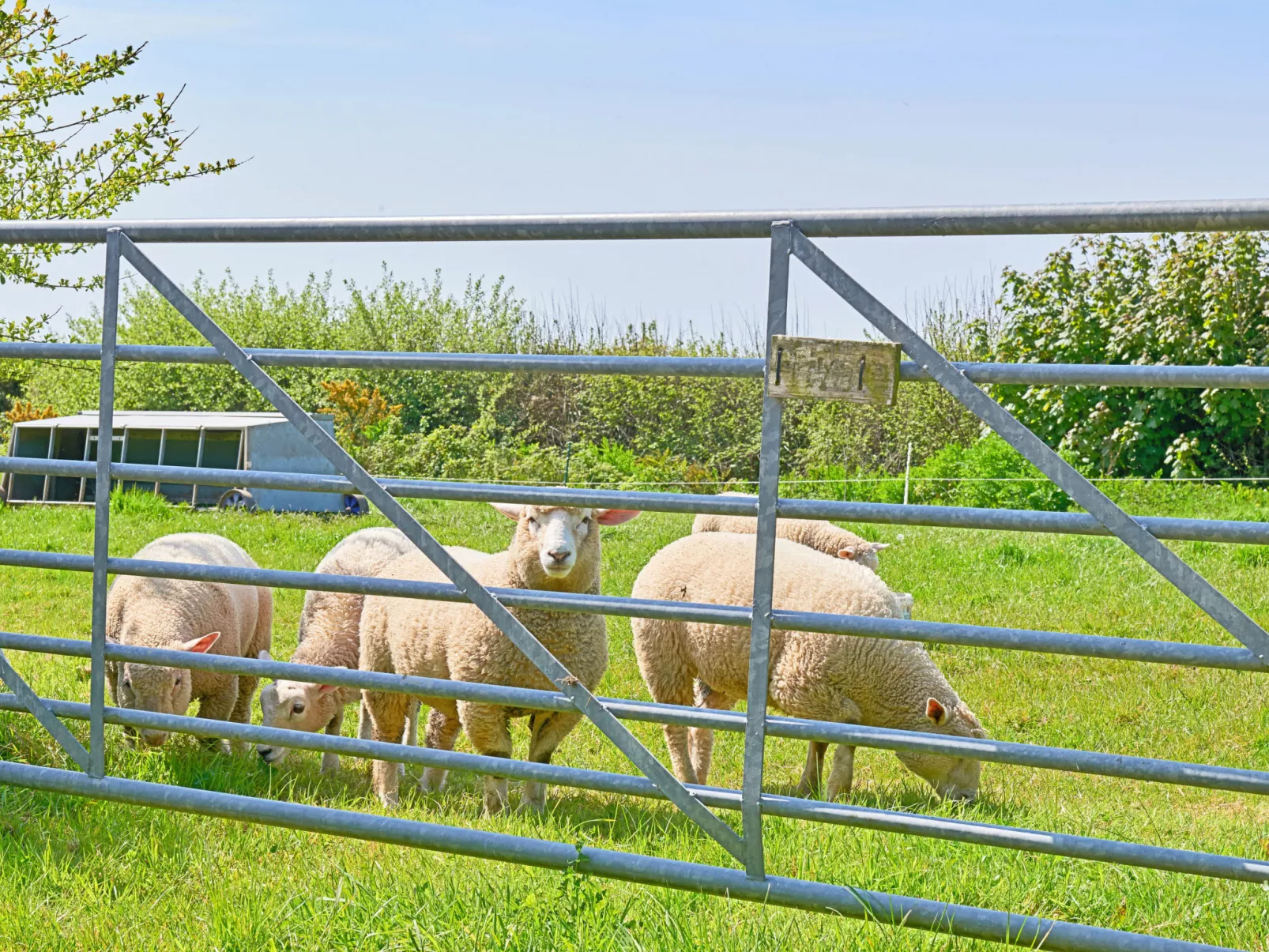 Hawthorn Barn-Binnen
