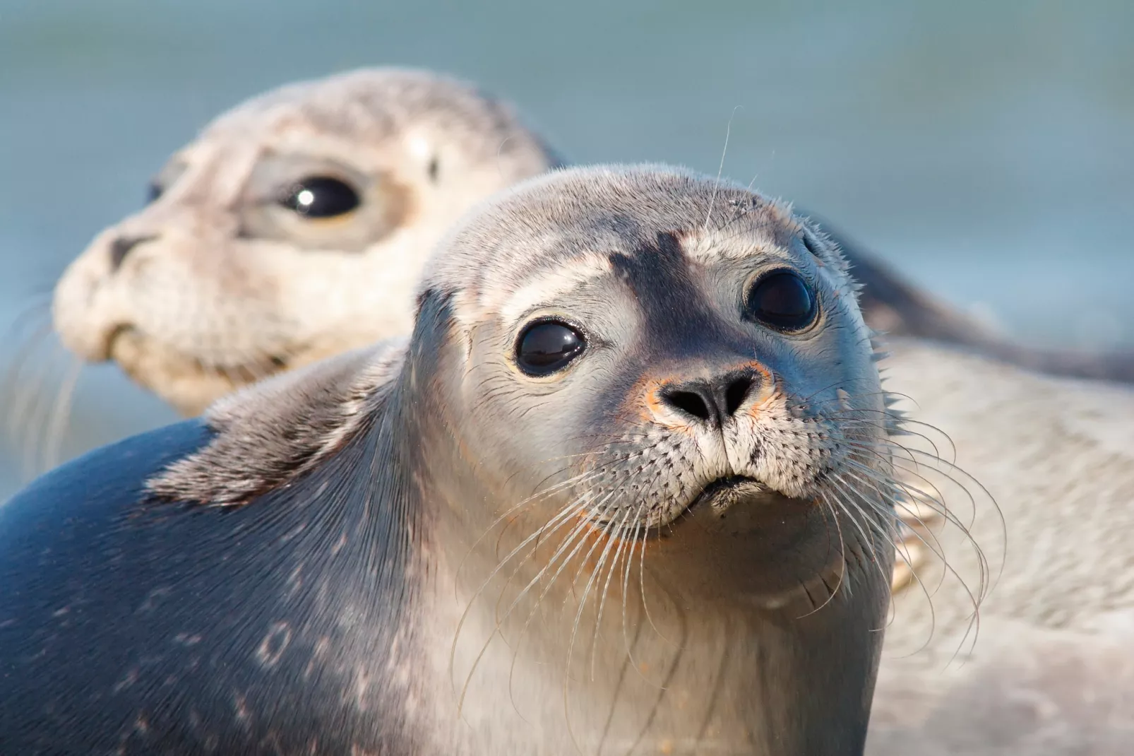 Vakantiepark Emslandermeer 8-Gebieden zomer 5km
