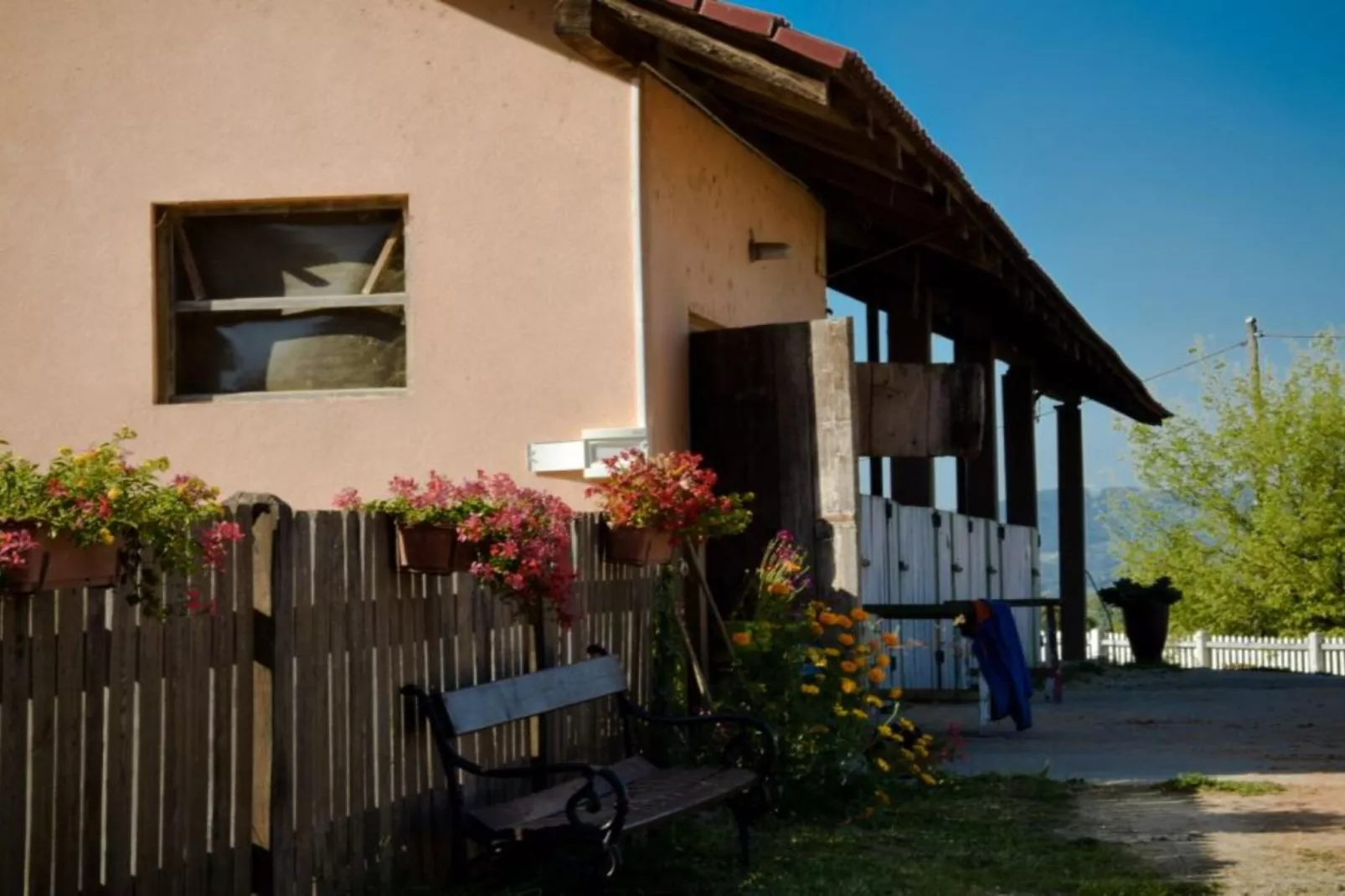 Zevnik Quiet Retreat with Stunning Views and Equestrian Activities - Standard One Bedroom Apartment-Buitenlucht