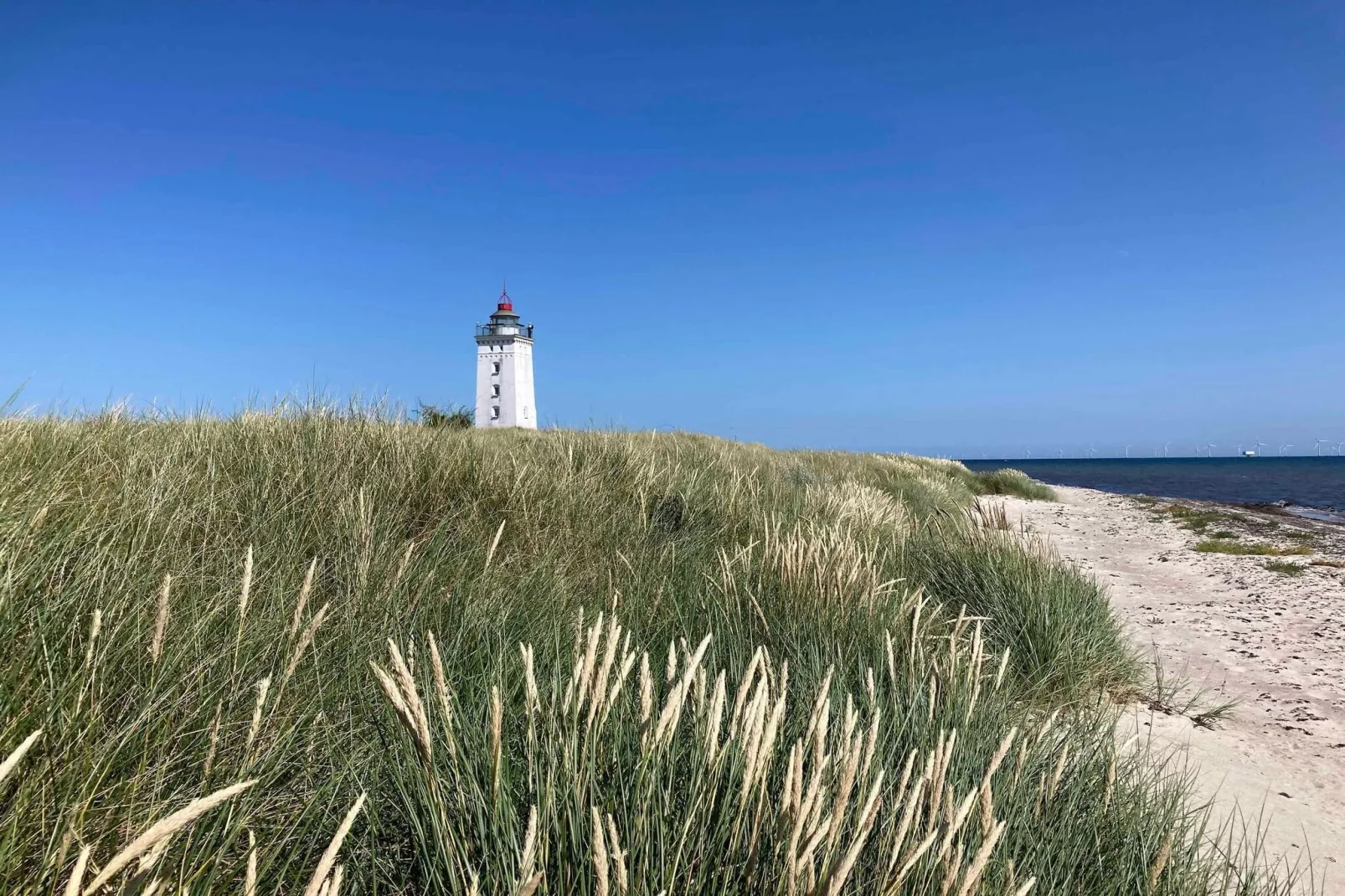 5 sterren vakantie huis in Rødby-Buitenlucht