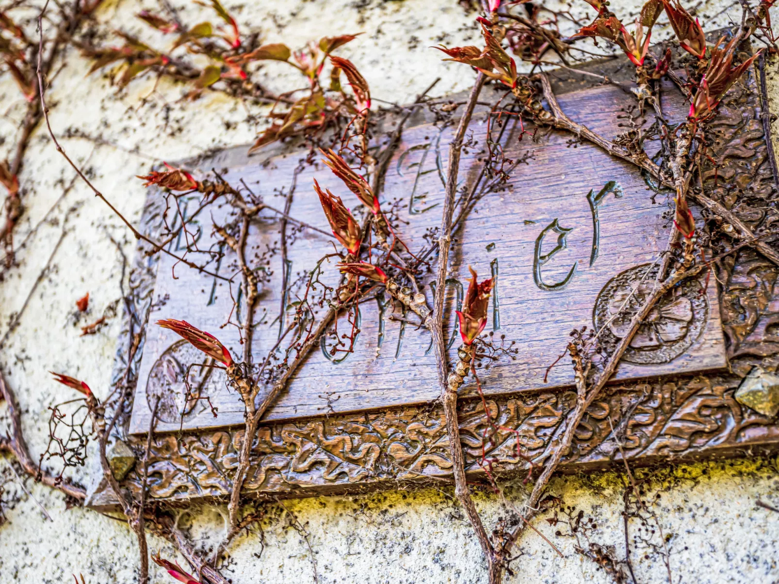 Les Jonquilles-Buiten