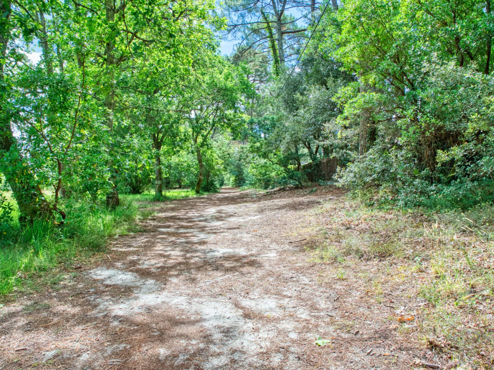 Marina de Talaris-Omgeving