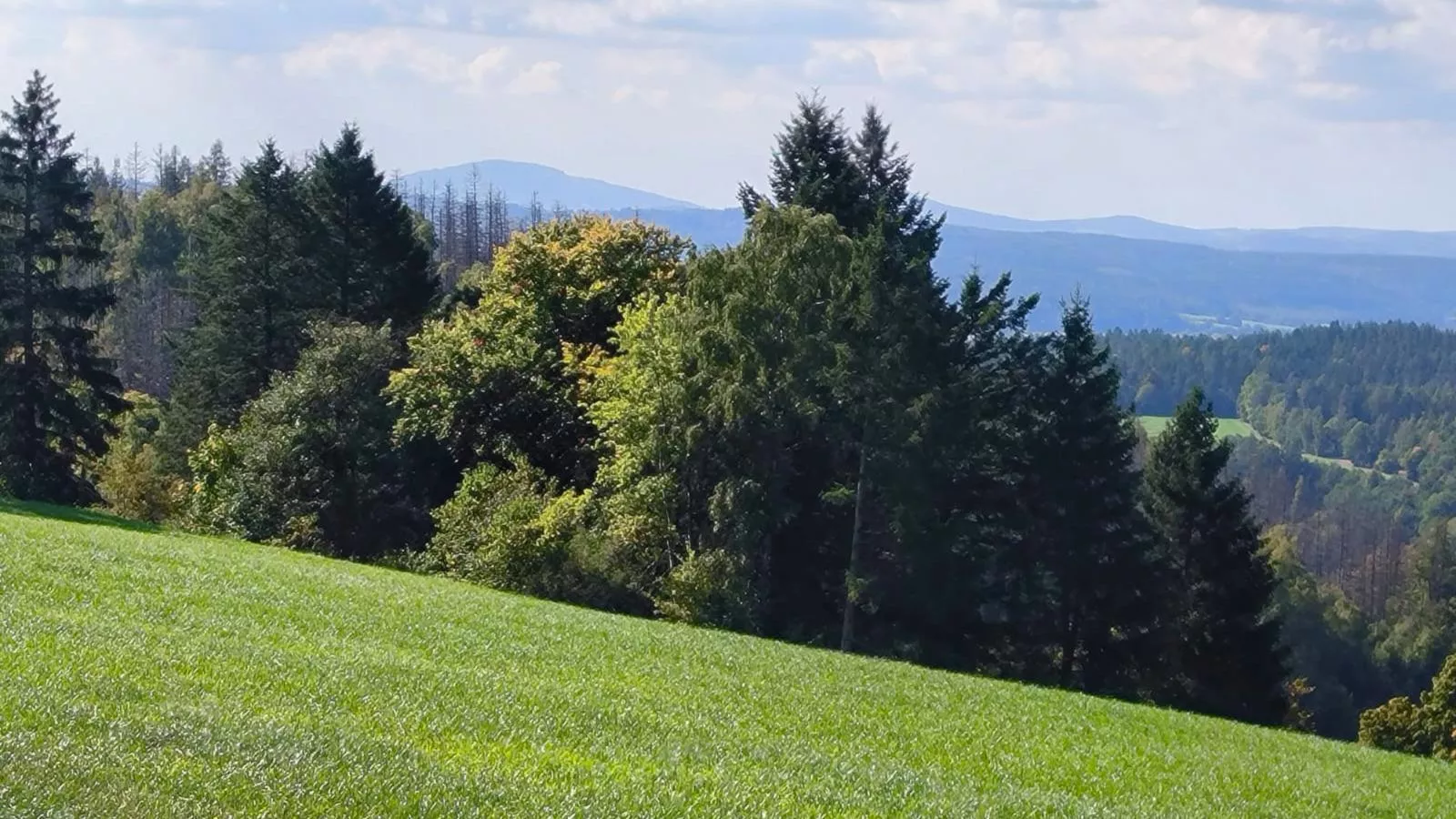 Am Springelbach-Uitzicht zomer