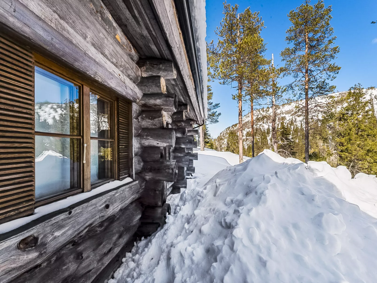 Rukan kelohuvila-Binnen