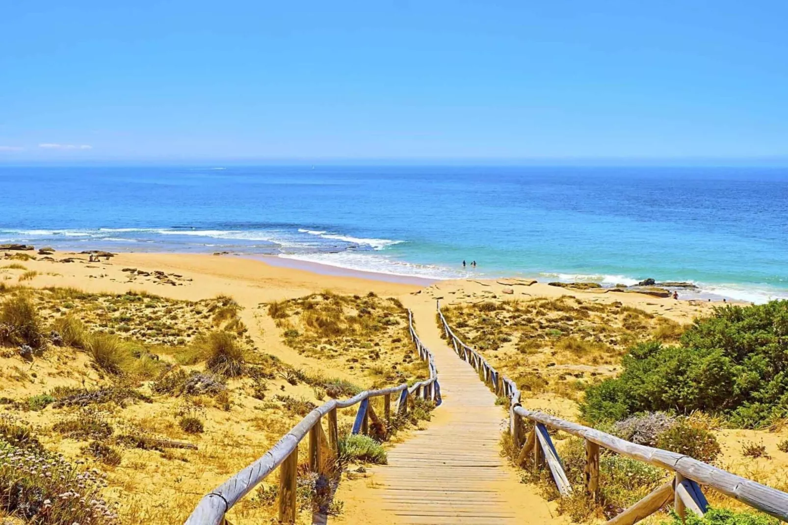 1780-+34636792434-Gebieden zomer 1km